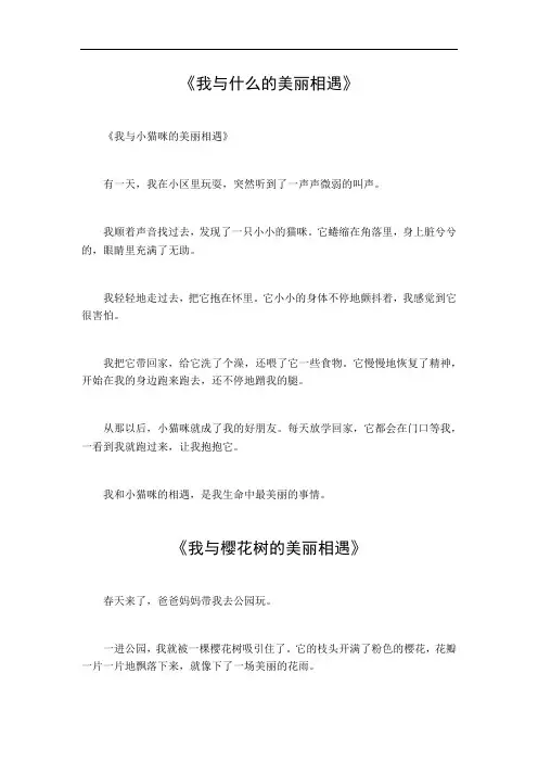 我与什么的美丽相遇作文600字