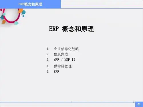 《ERP管理理论》PPT课件