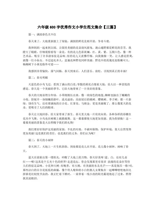 六年级600字优秀作文小学生范文集合【三篇】
