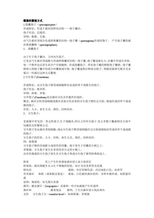 霉菌的繁殖方式