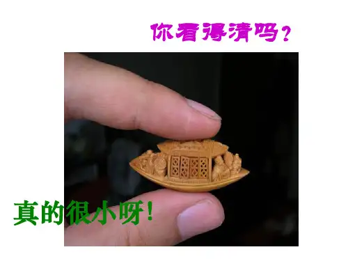 核舟记八年级上册语文说课稿公开课一等奖课件省赛课获奖课件