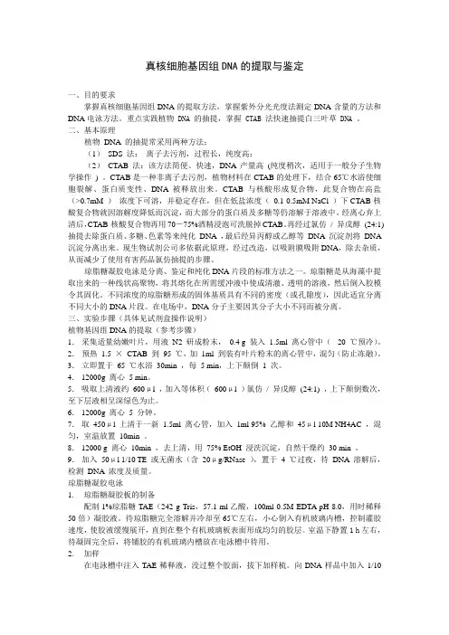 真核细胞基因组DNA的提取与鉴定