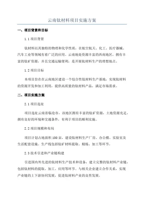 云南钛材料项目实施方案