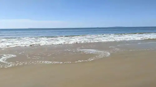 北师大版小学语文三年级上册《8 海底世界 ①海底世界》公开课PPT课件_75