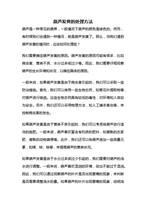 葫芦发黄的处理方法