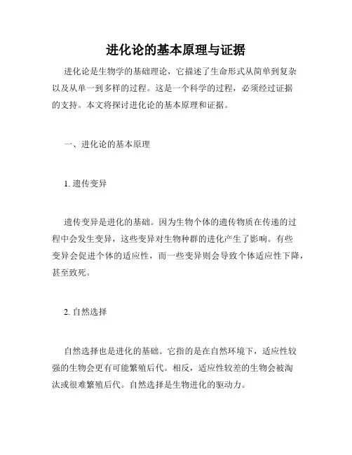进化论的基本原理与证据
