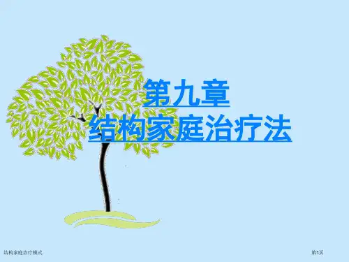 结构家庭治疗模式