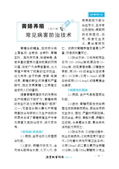 黄鳝养殖常见病害防治技术