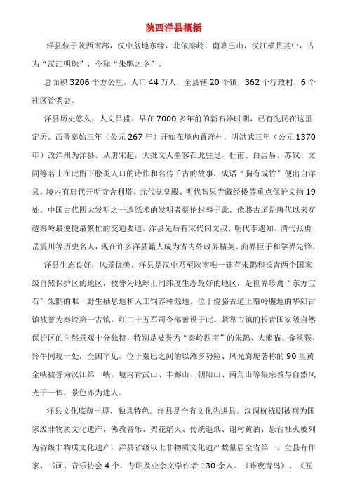 洋县概括