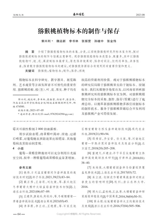 猕猴桃植物标本的制作与保存