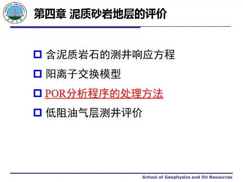 泥质砂岩地层评价