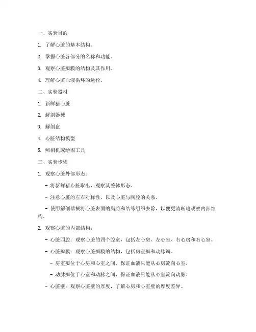 心脏结构观察实验报告
