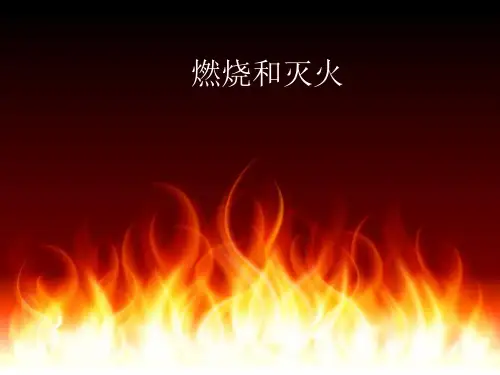 初中化学九上 4.1  燃烧与灭火  课件