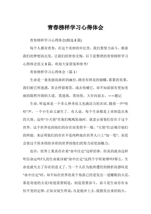 青春榜样学习心得体会