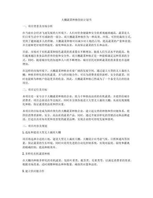 大棚蔬菜种植创业计划书
