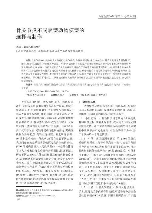 骨关节炎不同表型动物模型的选择与制作