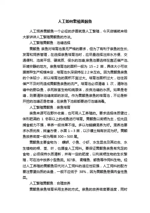 人工如何繁殖黄颡鱼