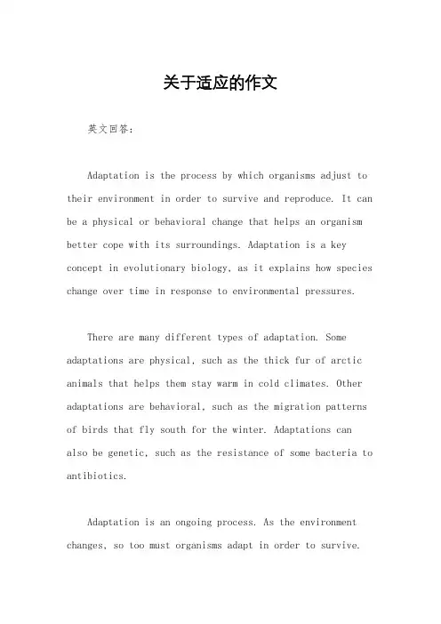 关于适应的作文
