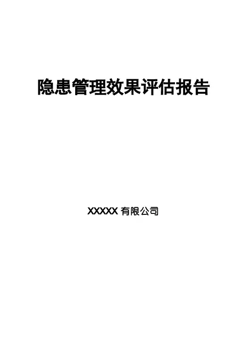 隐患治理效果评估报告