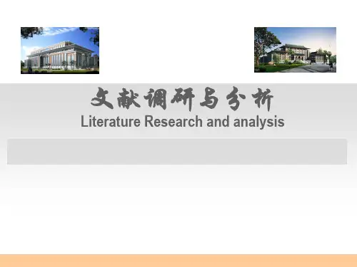 文献调研与分析