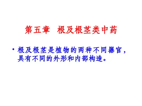 第五章 根及根茎类中药概述ppt课件