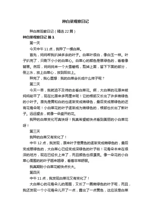 种白菜观察日记（精选22篇）