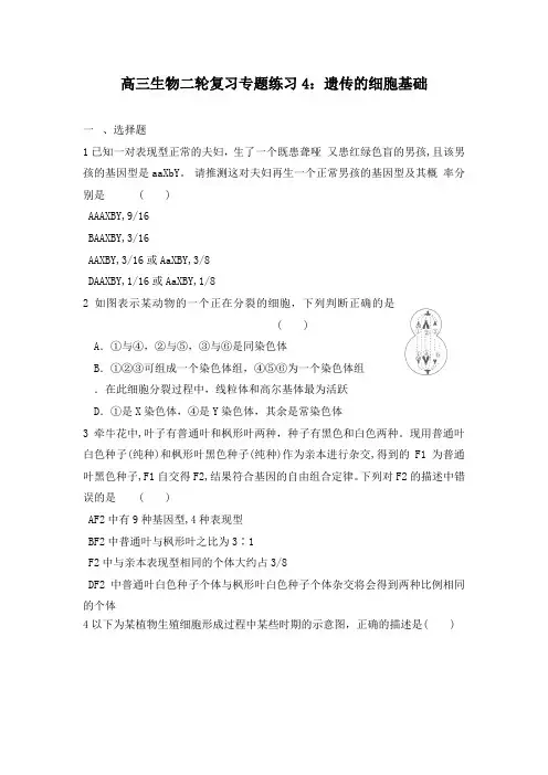 最新高三生物二轮复习专题训练4遗传的细胞学基础及答案