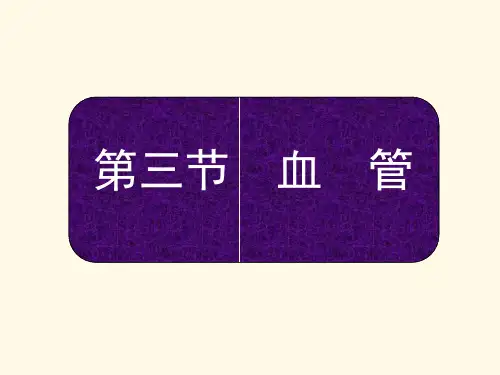口腔解剖学头颈部血管