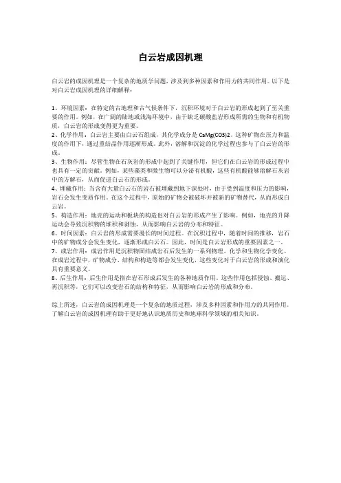 白云岩成因机理