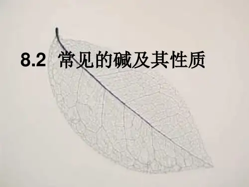初中化学九下  8.2  常见的酸和碱  课件 _2