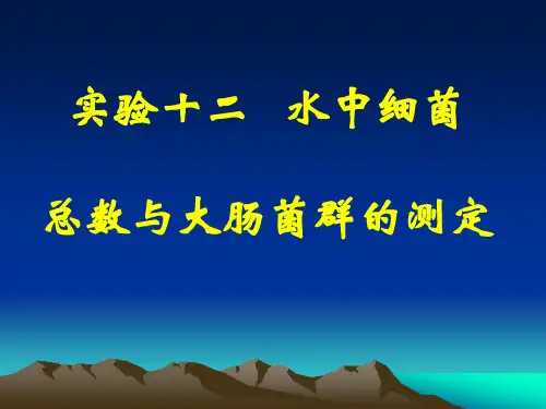 实验十二-水中细菌总数和大肠杆菌检测