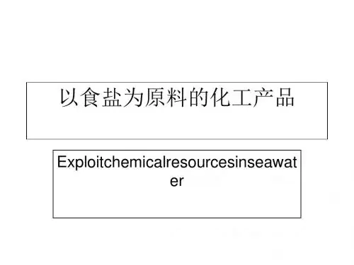 以食盐为原料的化工产品PPT课件1
