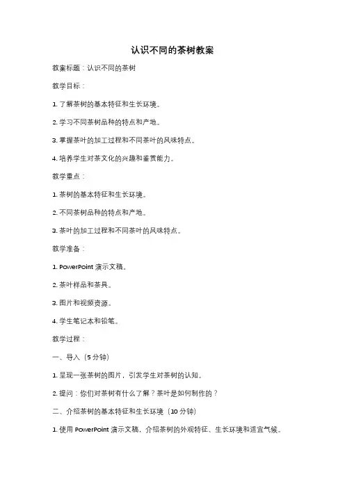 认识不同的茶树教案