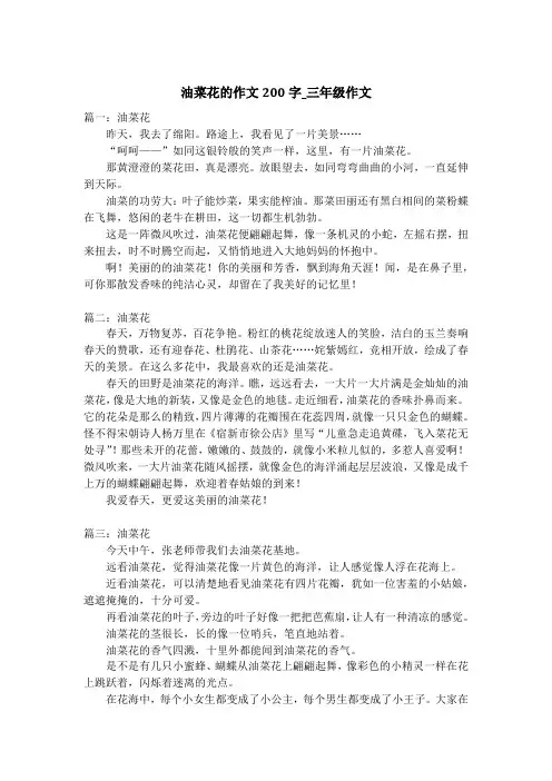 油菜花的作文200字_三年级作文