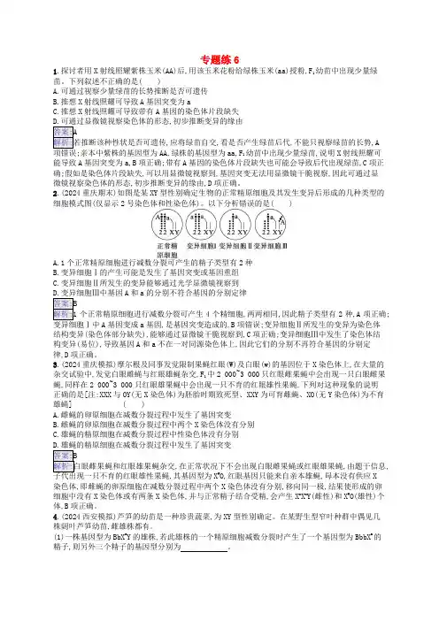 适用于新教材2025版高考生物一轮总复习专题练6新人教版