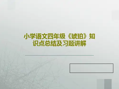 小学语文四年级《琥珀》知识点总结及习题讲解20页PPT