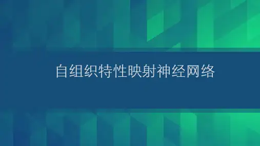 智能信息处理自组织特征映射神经网络