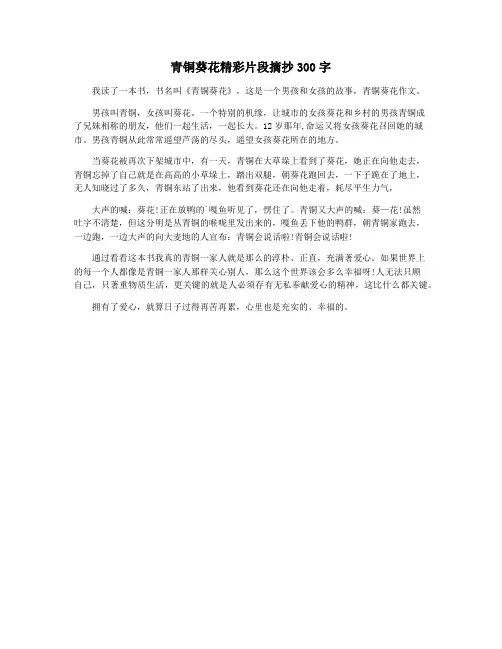 青铜葵花精彩片段摘抄300字