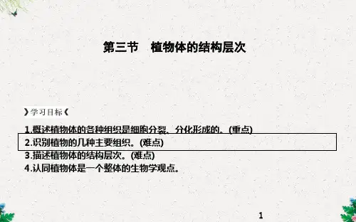  植物体的结构层次