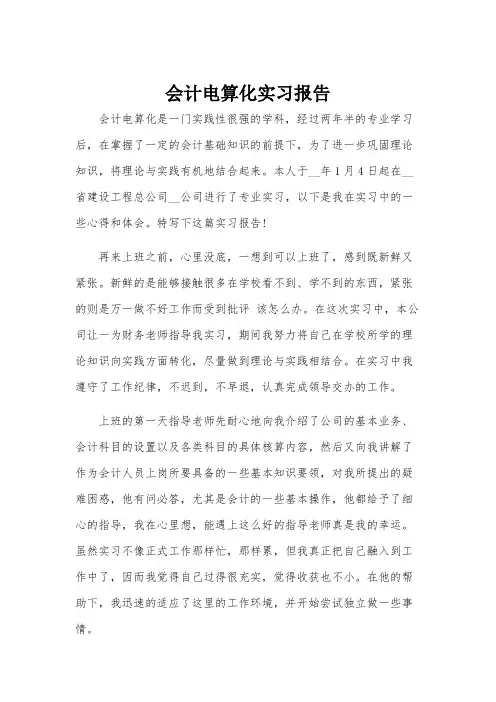 会计电算化实习报告