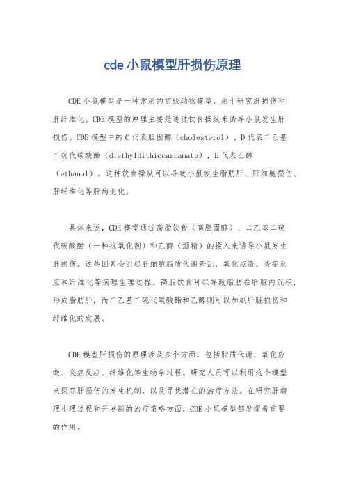 cde小鼠模型肝损伤原理