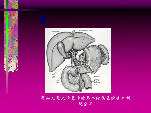 胆管损伤的诊断和治疗(纪宗正)