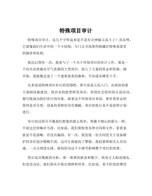 特殊项目审计