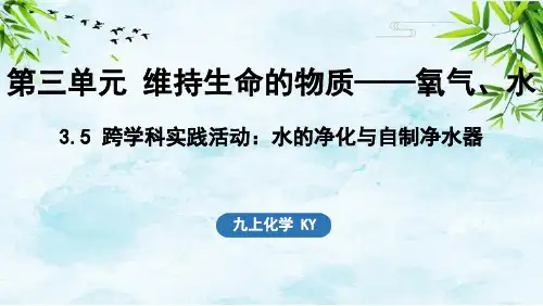3.5 跨学科实践活动_水的净化与自制净水器九年级上册化学科粤版