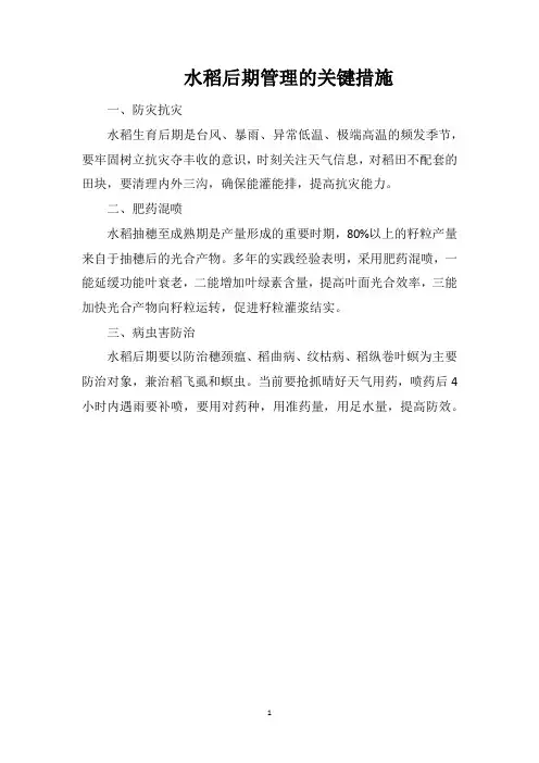 水稻后期管理的关键措施