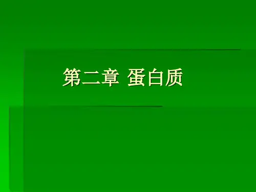 第二章 蛋白质