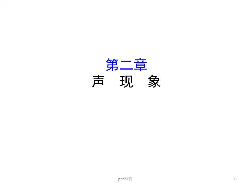 初中物理声现象  ppt课件