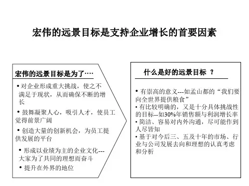 企业整体战略教材cvxk