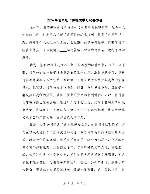2024年信用社干部挂职学习心得体会(2篇)