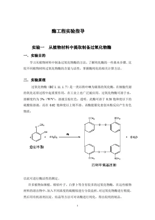 酶工程实验doc